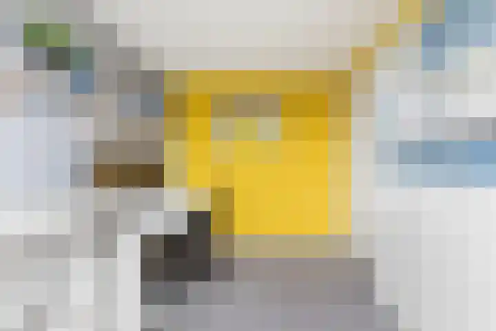 Weversstraat 37 Alblasserdam thumbnail 38
