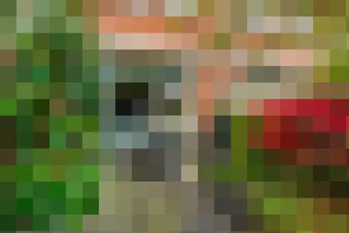 Weversstraat 37 Alblasserdam thumbnail 40