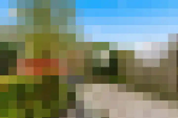 Weversstraat 37 Alblasserdam thumbnail 42