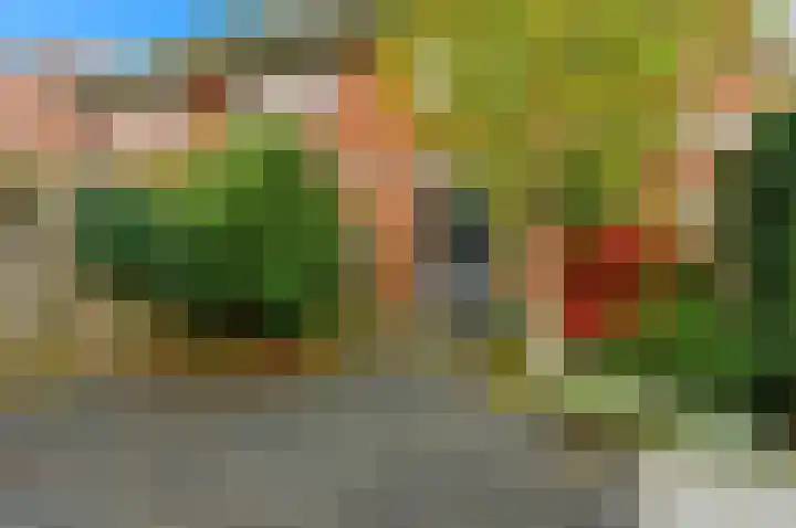 Weversstraat 37 Alblasserdam thumbnail 47