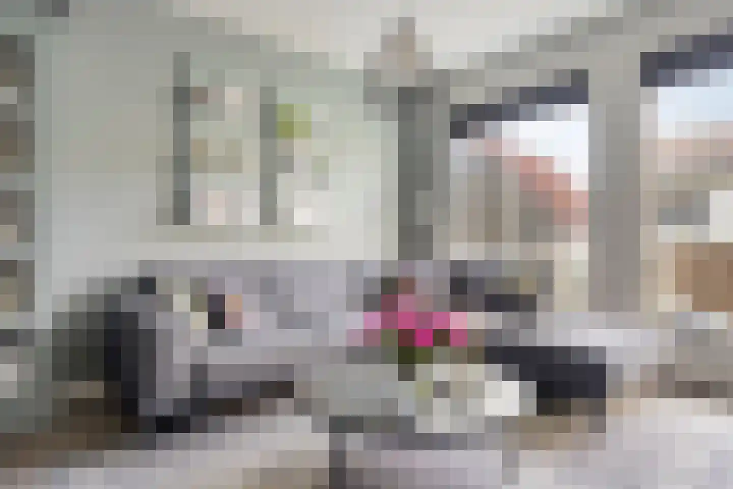 Weversstraat 4 A Rhenen thumbnail 12