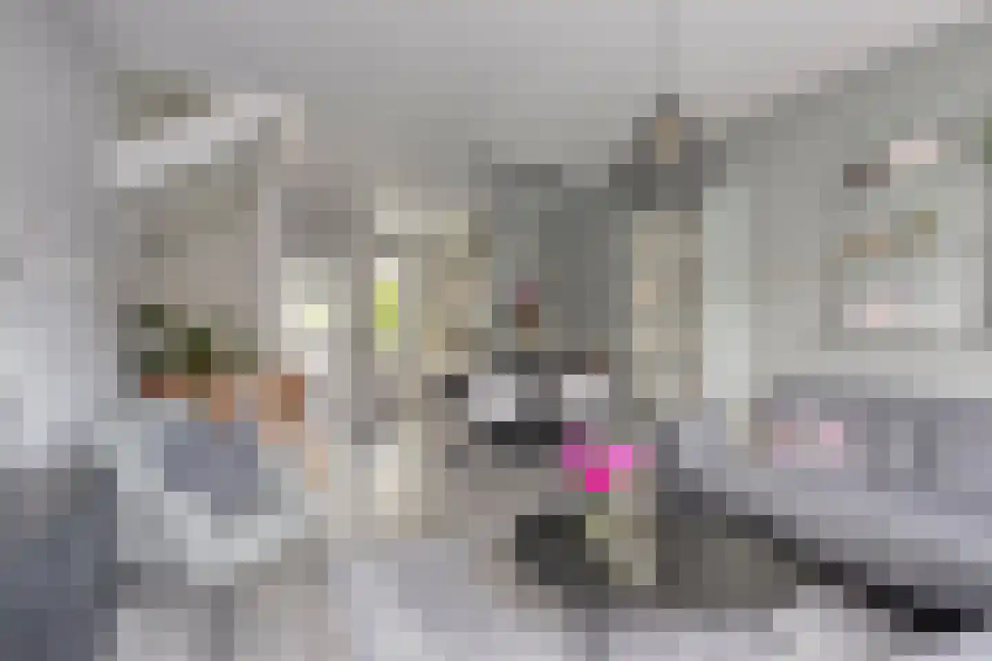 Weversstraat 4 A Rhenen thumbnail 13