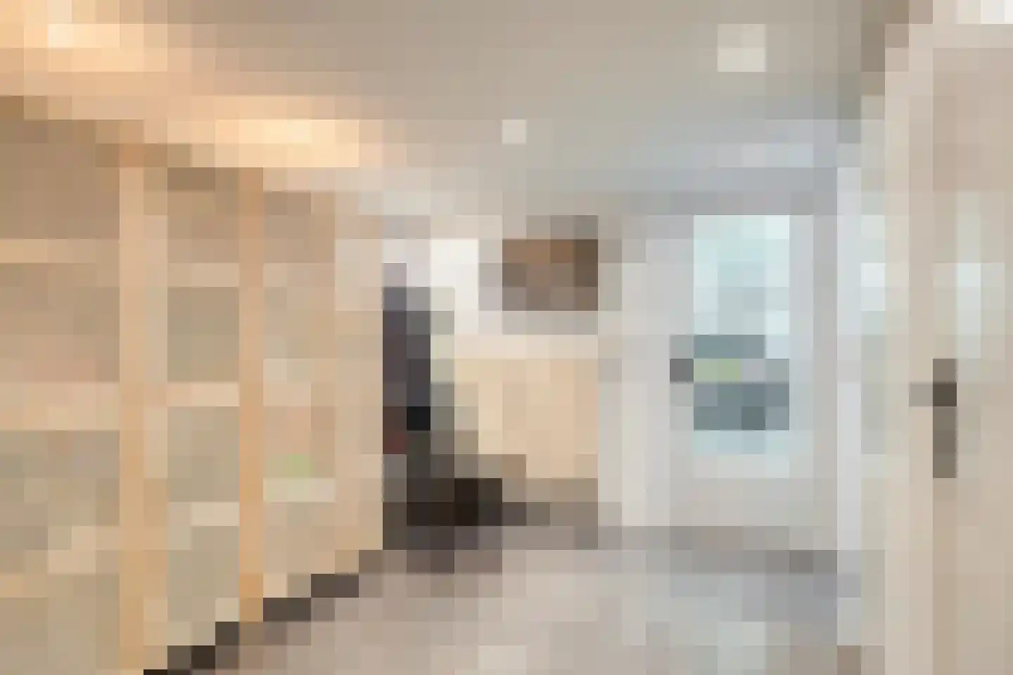 Weversstraat 4 A Rhenen thumbnail 21
