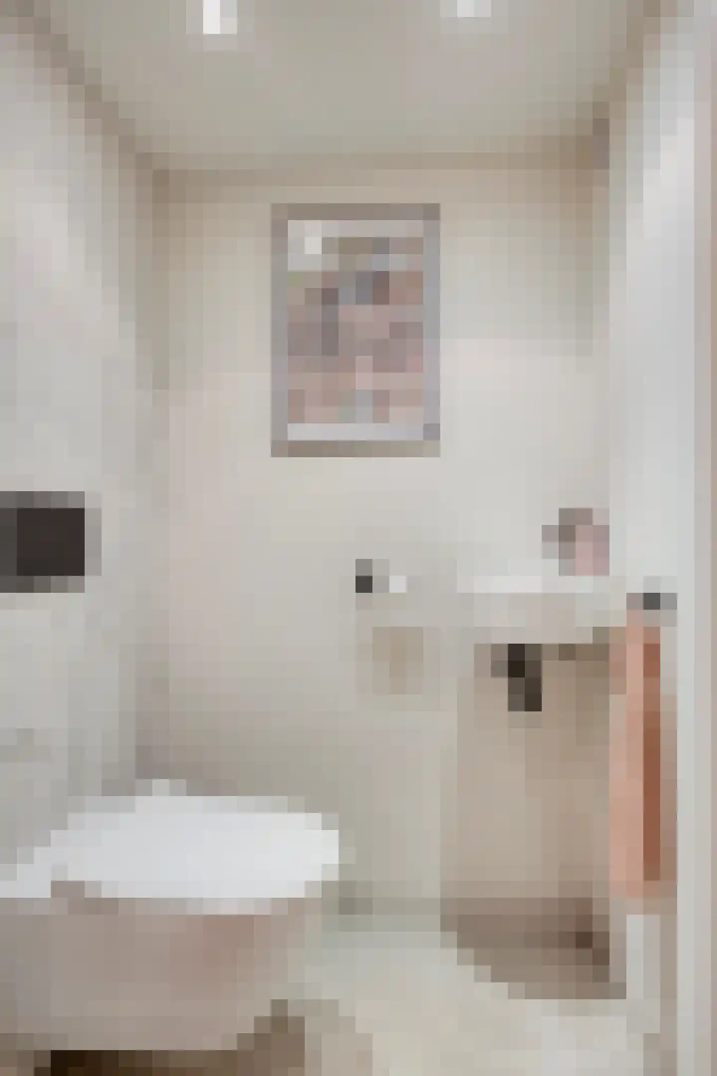 Weversstraat 4 A Rhenen thumbnail 22