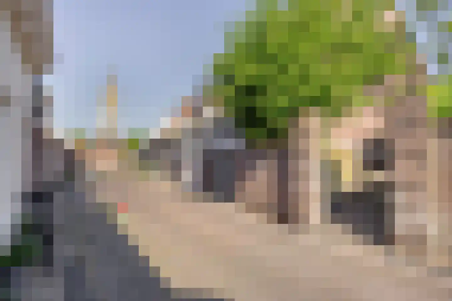 Weversstraat 4 A Rhenen thumbnail 38