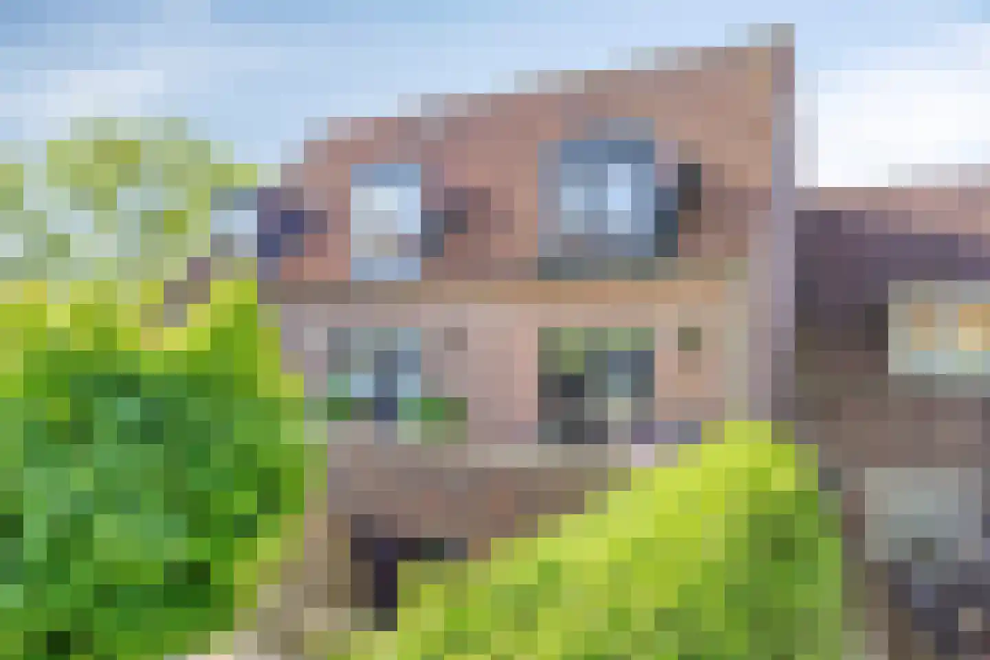 Weversstraat 4 A Rhenen thumbnail 46