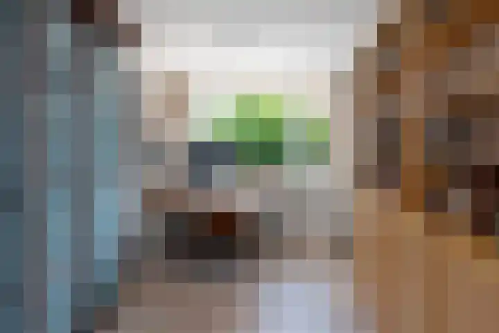 Weversstraat 5 Rhenen thumbnail 23
