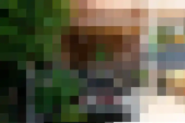 Weversstraat 5 Rhenen thumbnail 34