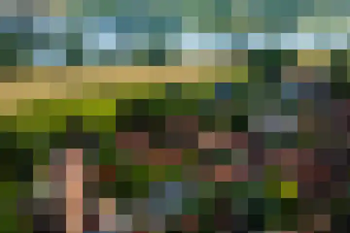 Weversstraat 5 Rhenen thumbnail 36