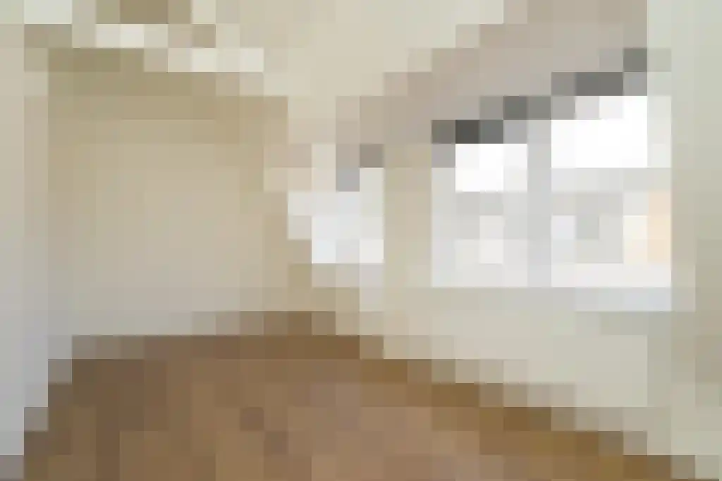 Weversstraat 7 Haarlem thumbnail 6