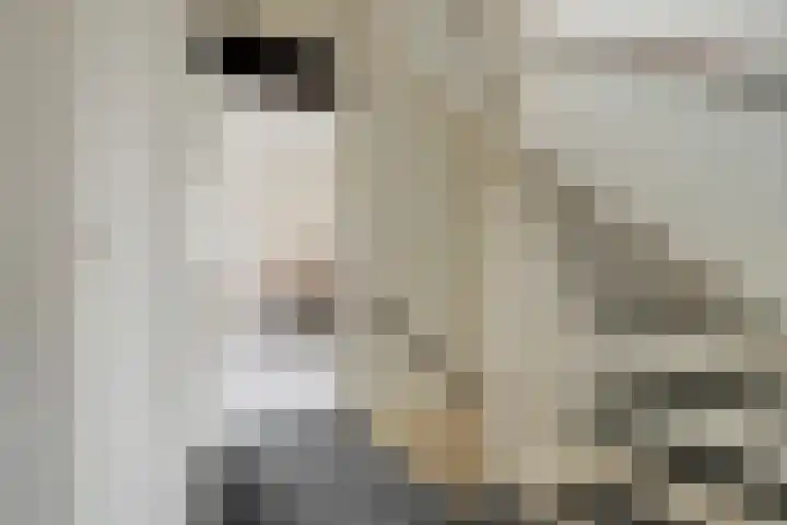 Weverstedehof 31 Nieuwegein thumbnail 32