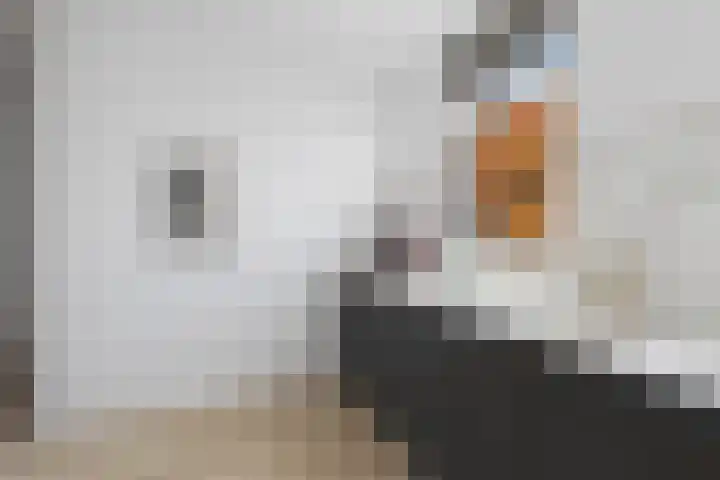 Weverstedehof 33 Nieuwegein thumbnail 14