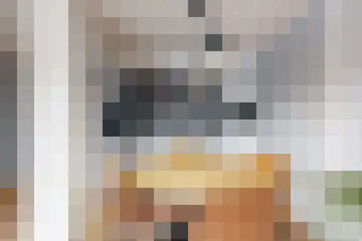Weverstedehof 39 Nieuwegein thumbnail 8