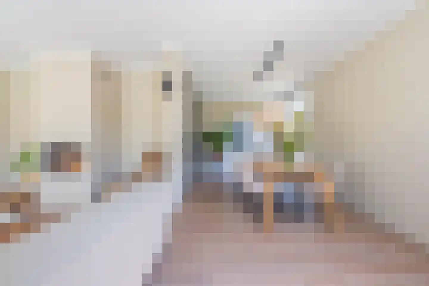 Weverstraat 10 Ophemert thumbnail 31