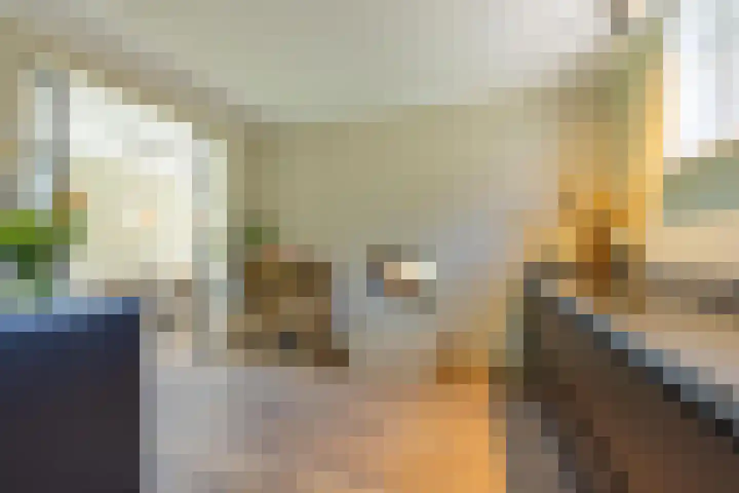 Weverstraat 10 Ophemert thumbnail 44