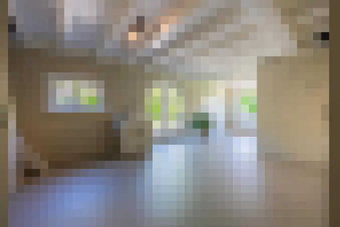 Weverstraat 10 Ophemert thumbnail 46