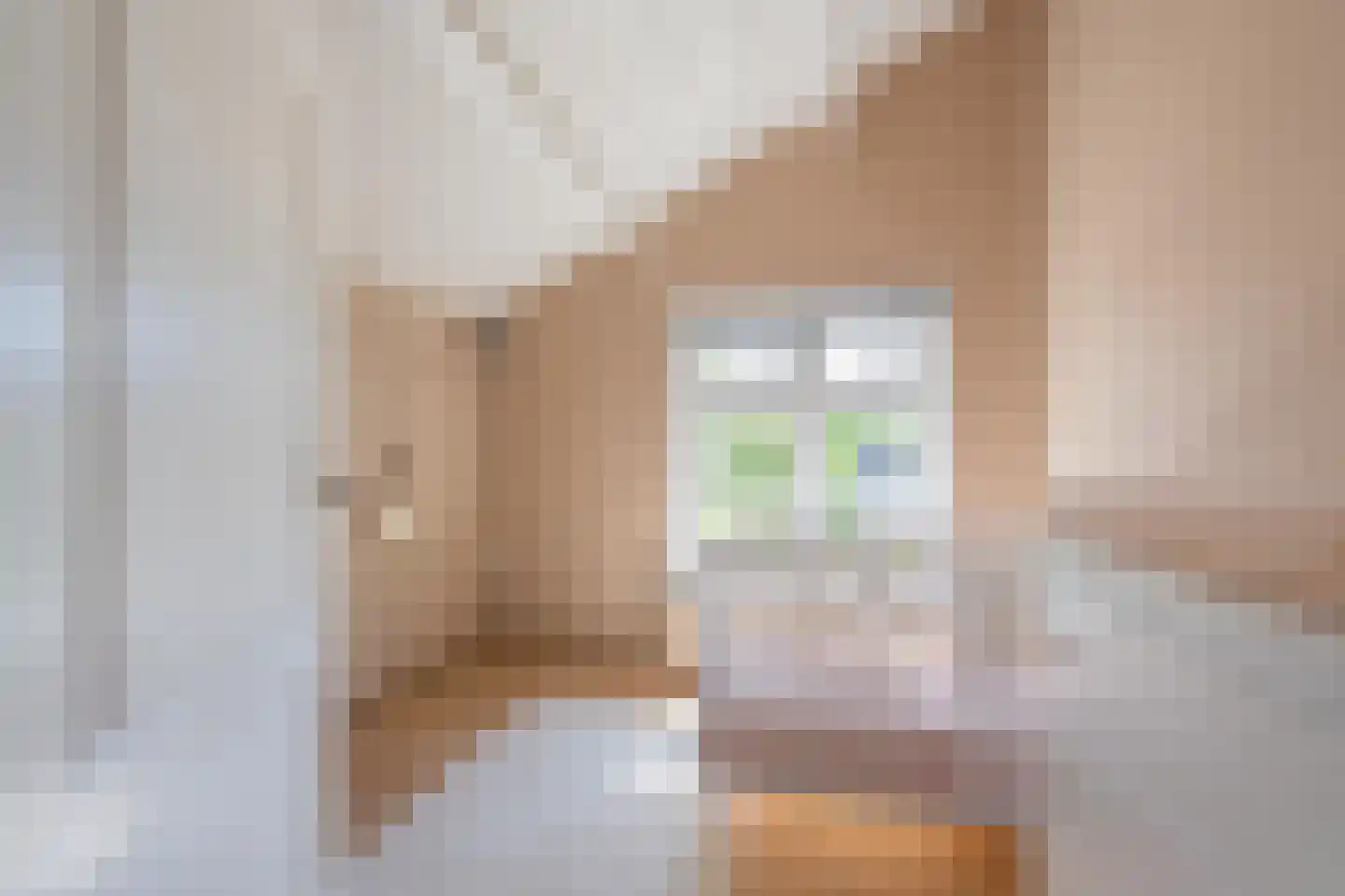 Weverstraat 10 Ophemert thumbnail 60