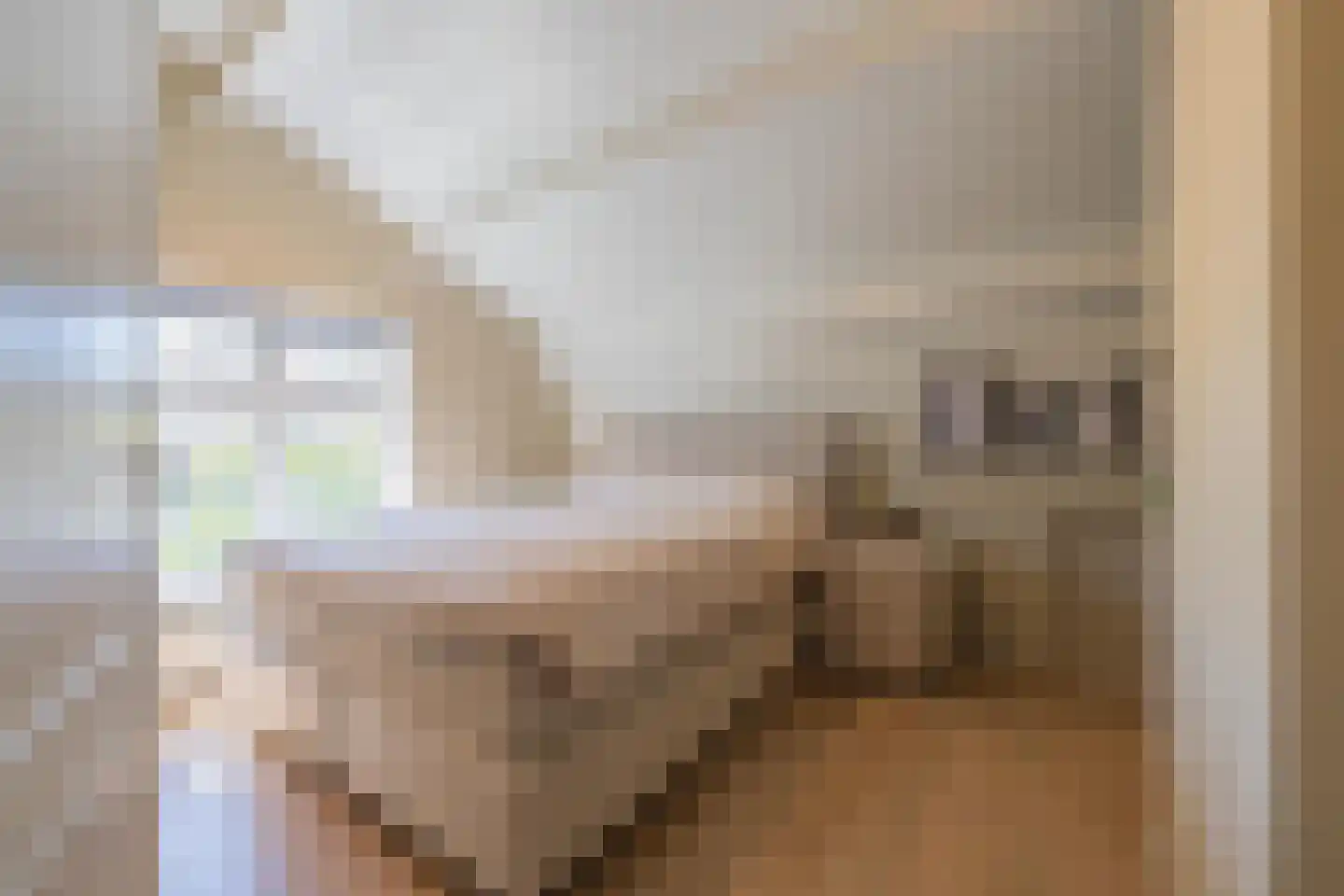 Weverstraat 10 Ophemert thumbnail 63