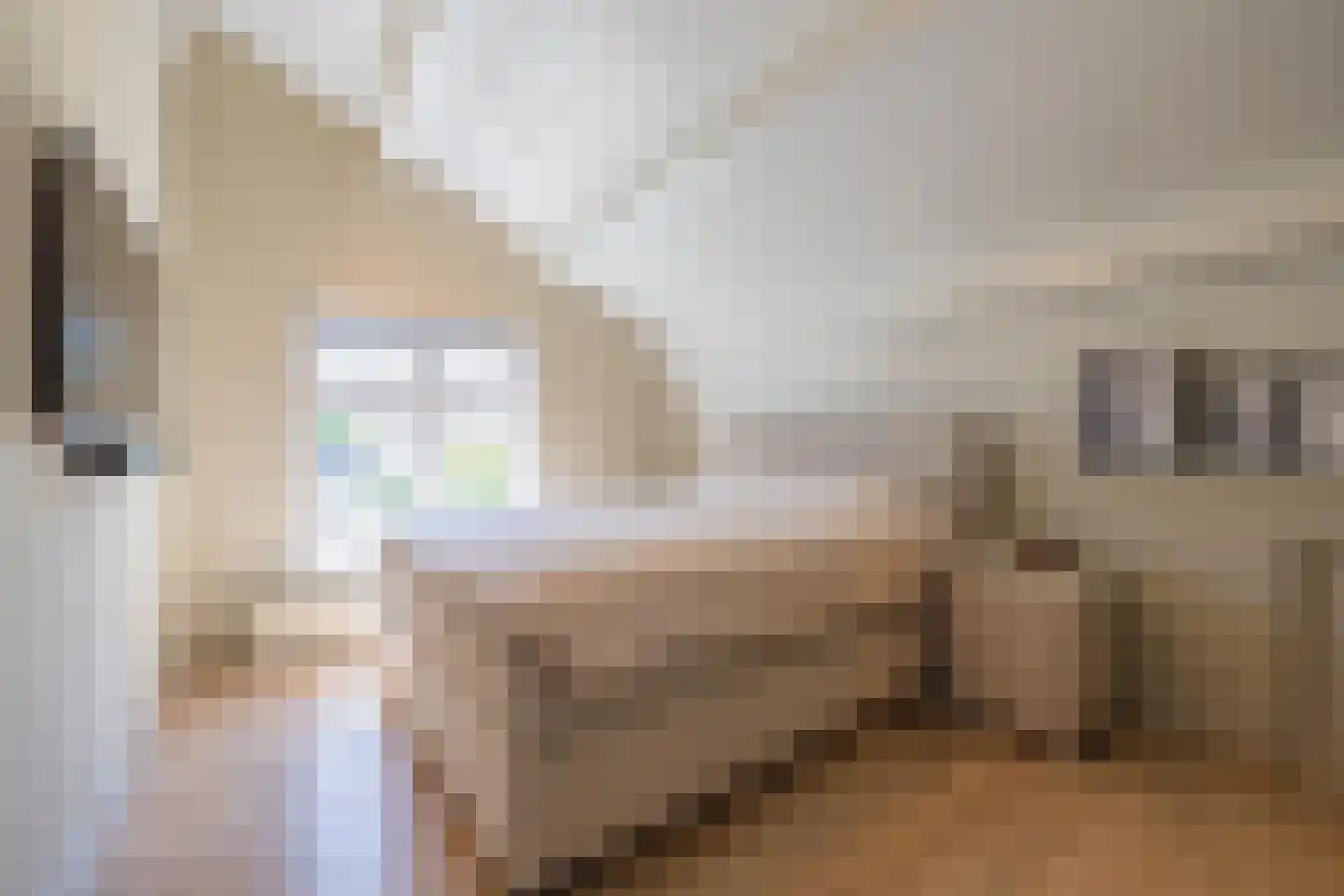 Weverstraat 10 Ophemert thumbnail 64
