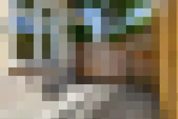 Weverstraat 12 a Borculo thumbnail 18