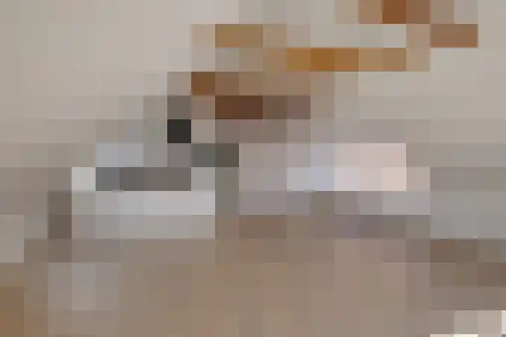 Weverstraat 12 b Borculo thumbnail 5