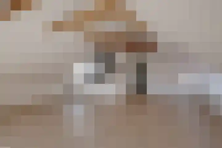 Weverstraat 12 b Borculo thumbnail 8