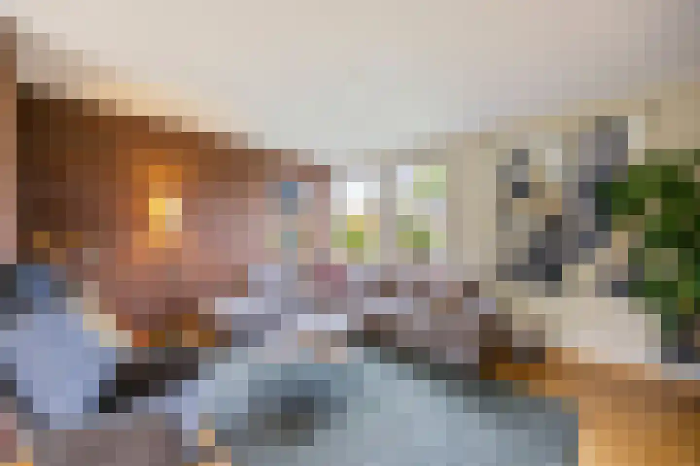 Weverstraat 13 Susteren thumbnail 12