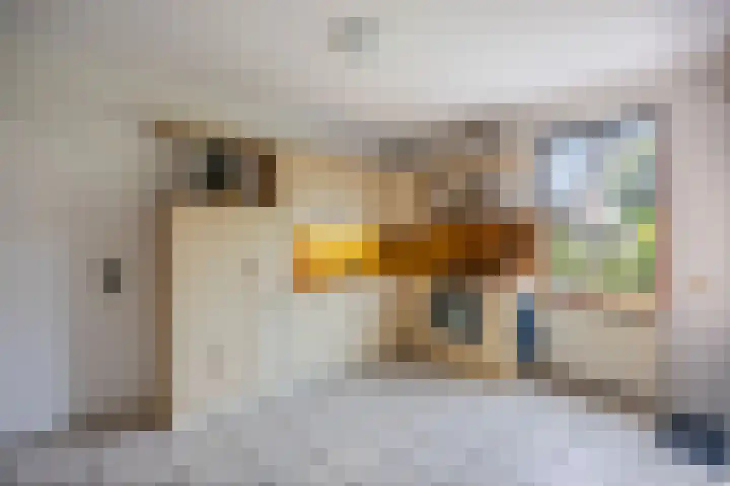 Weverstraat 13 Susteren thumbnail 20