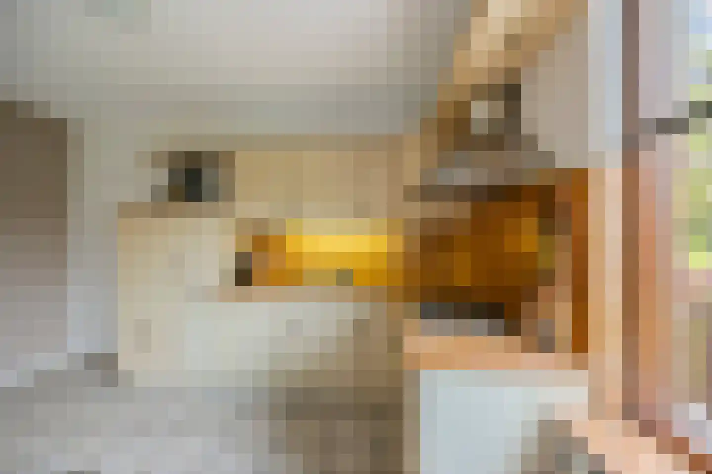 Weverstraat 13 Susteren thumbnail 22