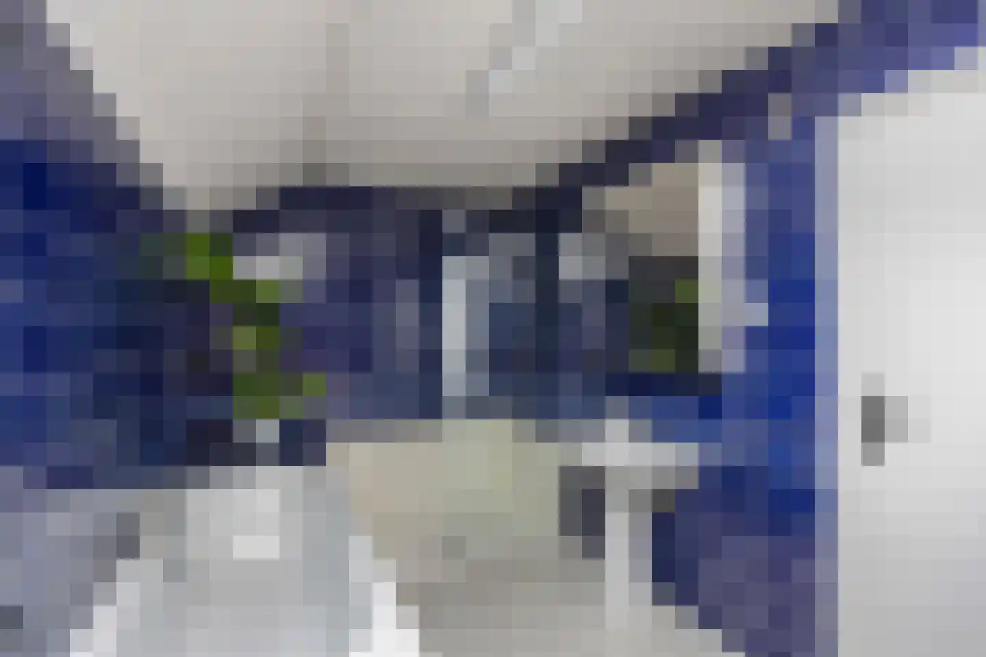 Weverstraat 13 Susteren thumbnail 34