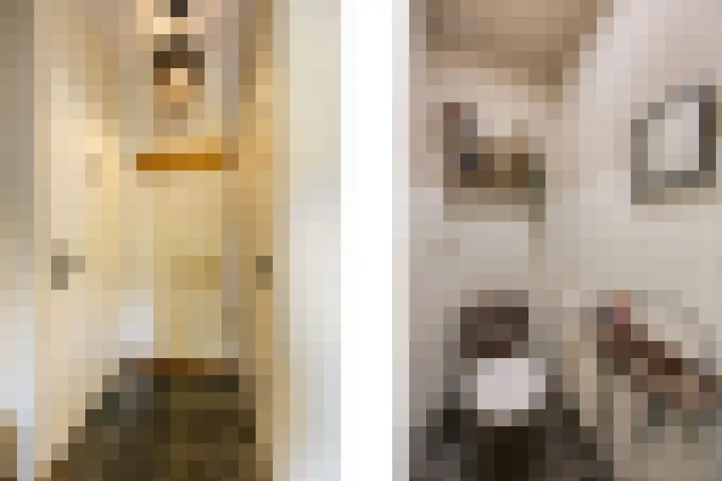 Weverstraat 13 Susteren thumbnail 9