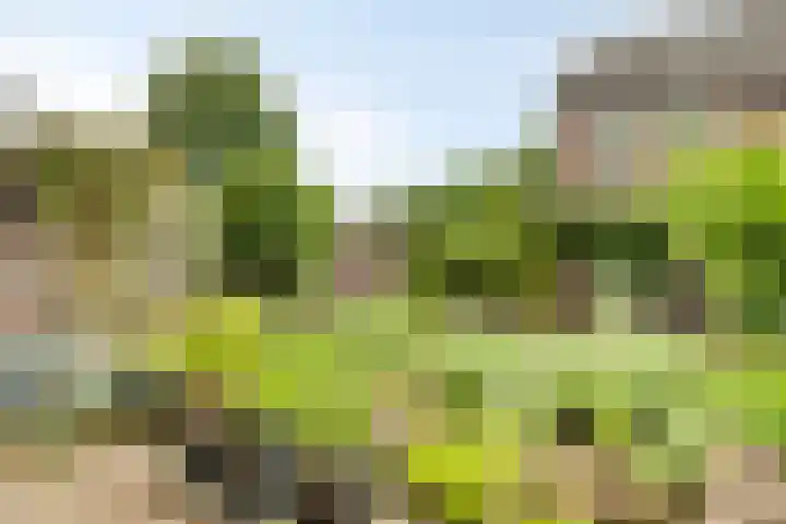 Weverstraat 14 Steensel thumbnail 33