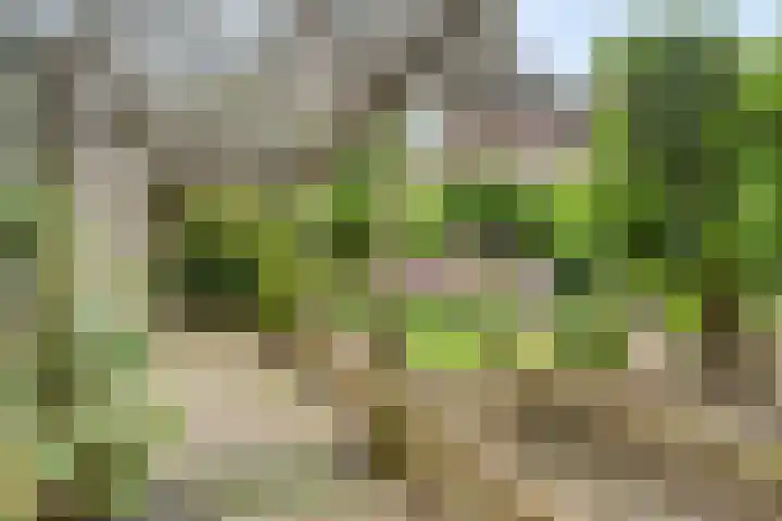 Weverstraat 14 Steensel thumbnail 34
