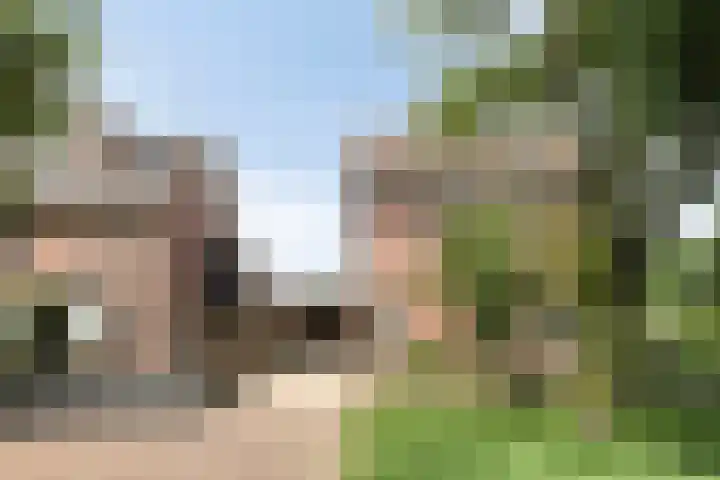 Weverstraat 14 Steensel thumbnail 36