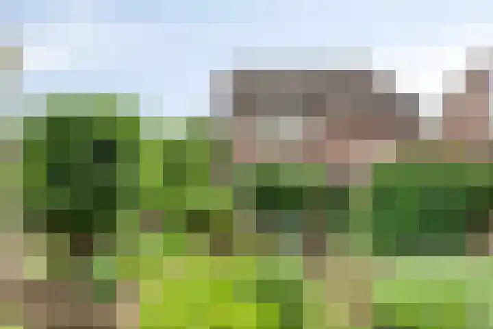 Weverstraat 14 Steensel thumbnail 4