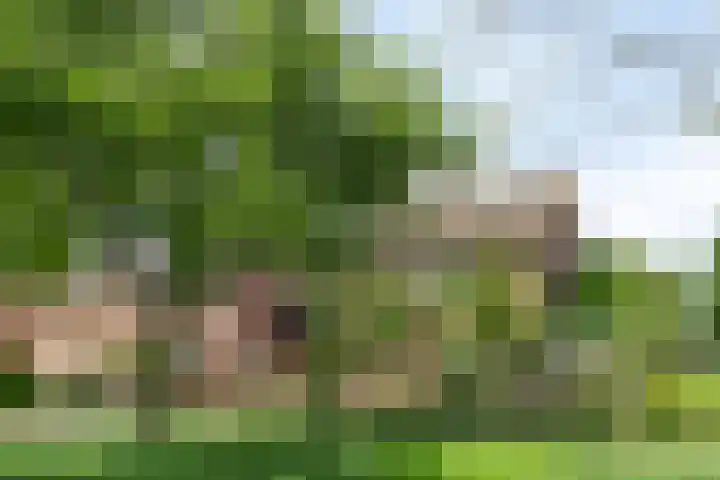 Weverstraat 14 Steensel thumbnail 41