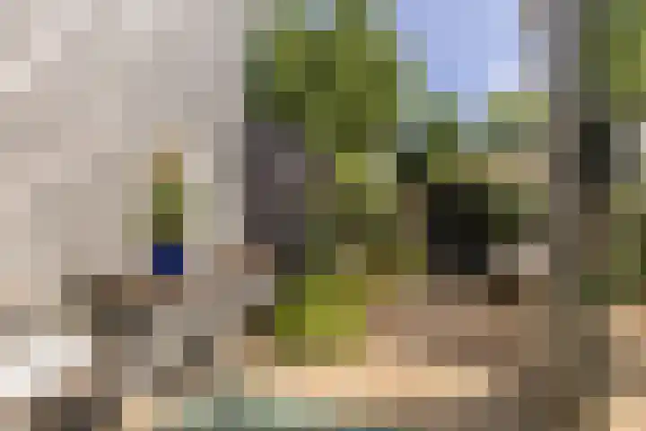 Weverstraat 14 Wormerveer thumbnail 10