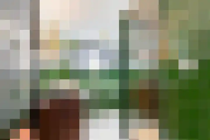 Weverstraat 14 Wormerveer thumbnail 20