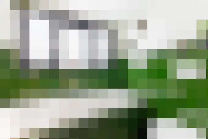 Weverstraat 14 Wormerveer thumbnail 21