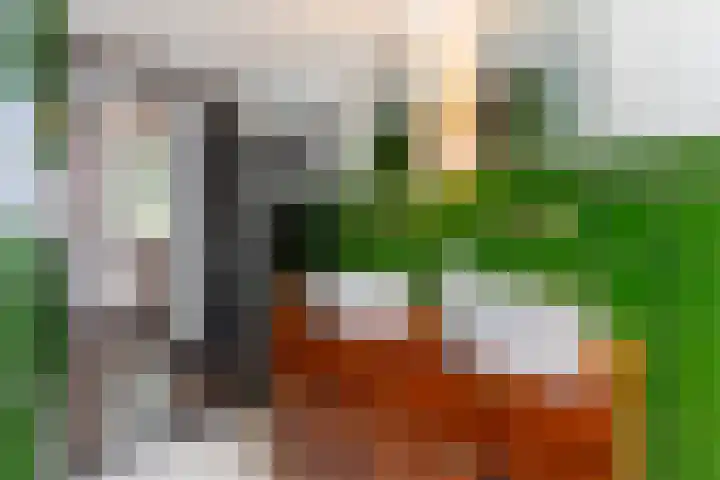 Weverstraat 14 Wormerveer thumbnail 23