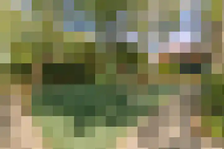 Weverstraat 14 Wormerveer thumbnail 31