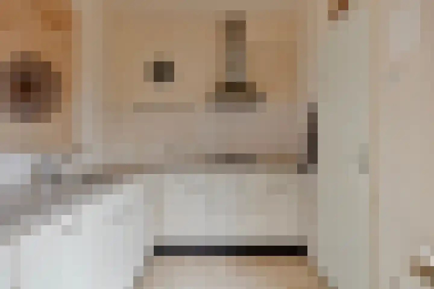 Weverstraat 15 Baarlo thumbnail 9