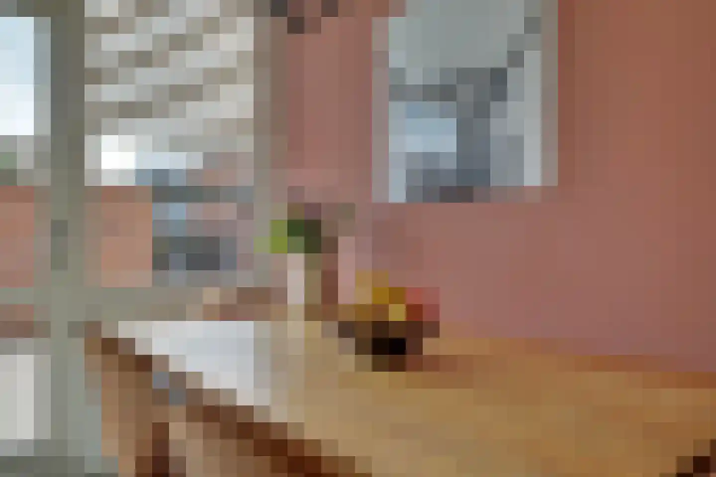 Weverstraat 153 Duiven thumbnail 17