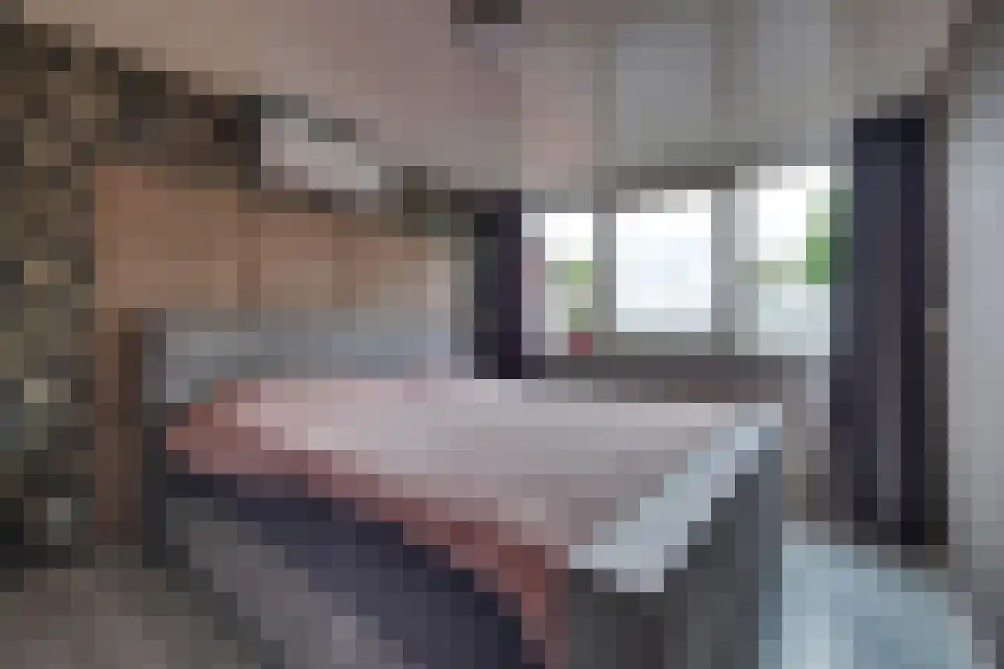 Weverstraat 153 Duiven thumbnail 19