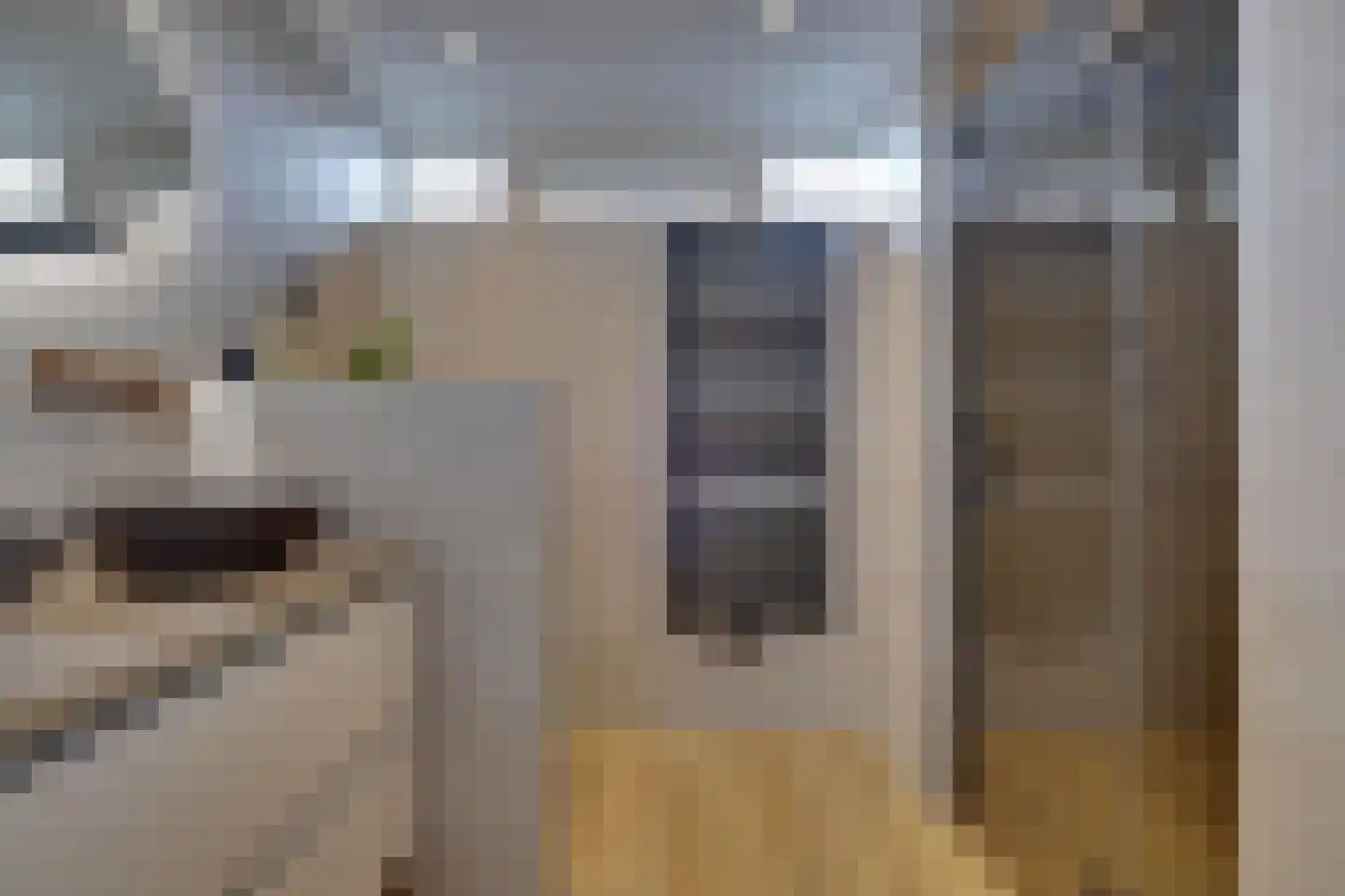 Weverstraat 153 Duiven thumbnail 25