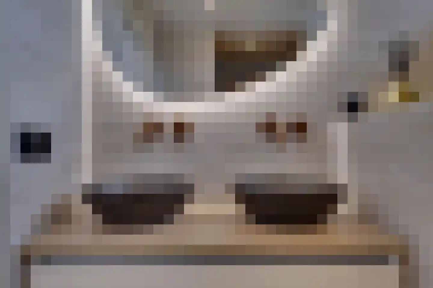 Weverstraat 153 Duiven thumbnail 27