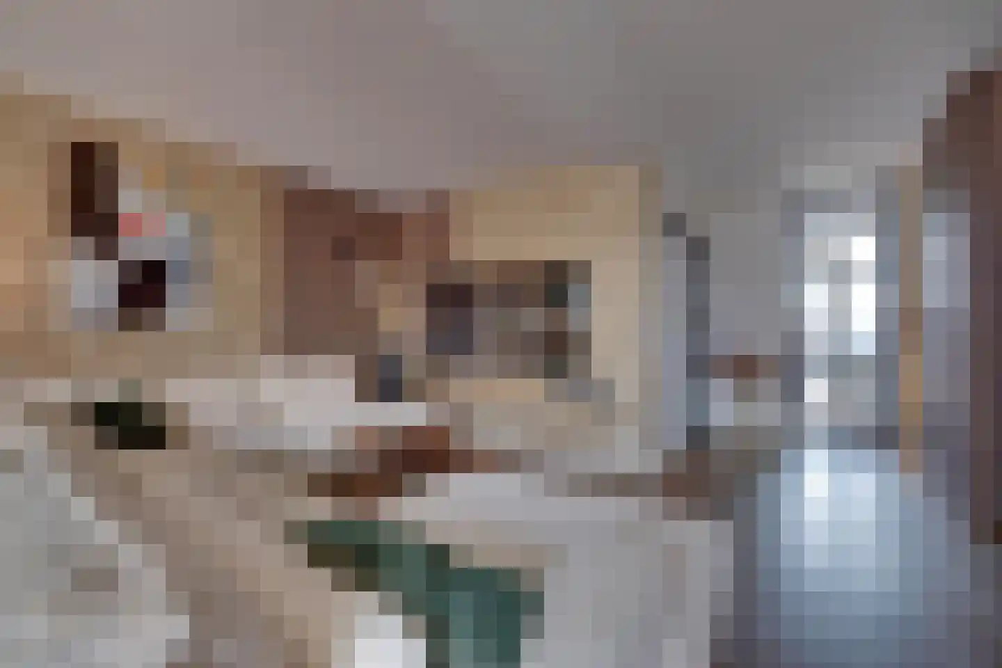 Weverstraat 153 Duiven thumbnail 4