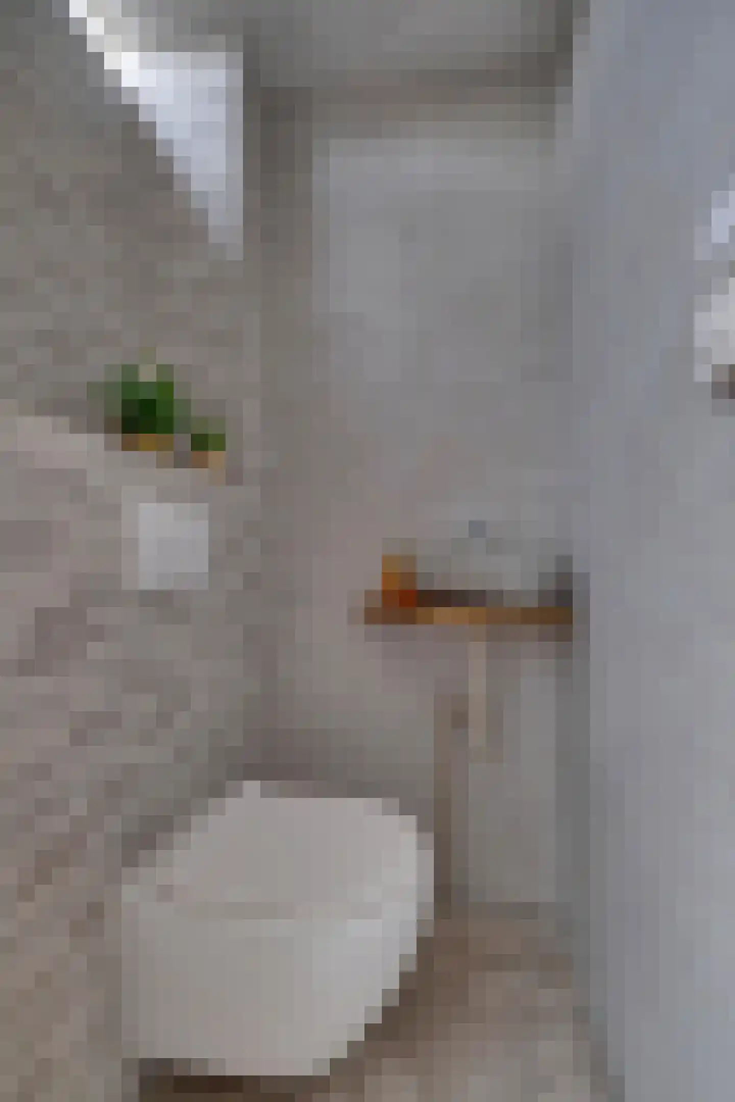 Weverstraat 153 Duiven thumbnail 9