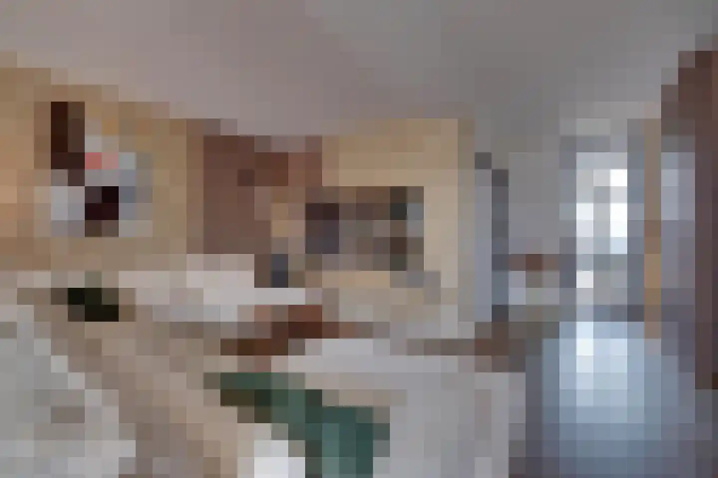 Weverstraat 153 Duiven thumbnail 9