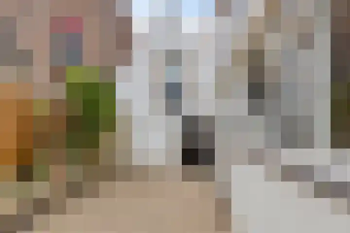 Weverstraat 17 Arnhem thumbnail 28